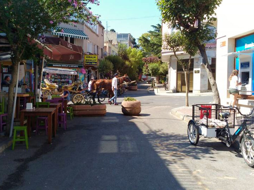 Horse carriage in a quiet street in the center of Büyükada