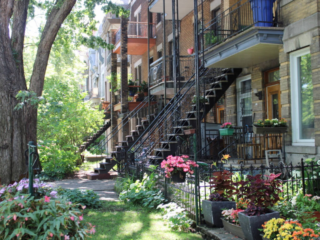 Colorful plants on a street in Montreal