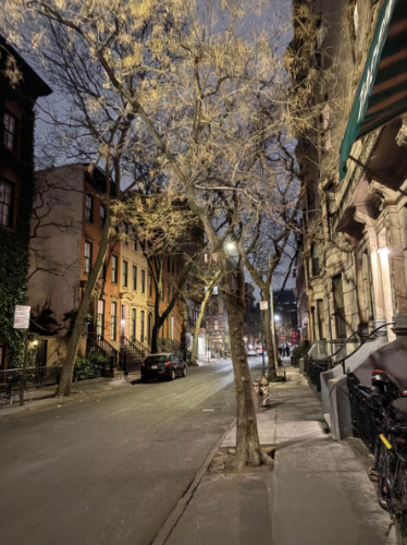 View of the tree-lined street in the West Village at night