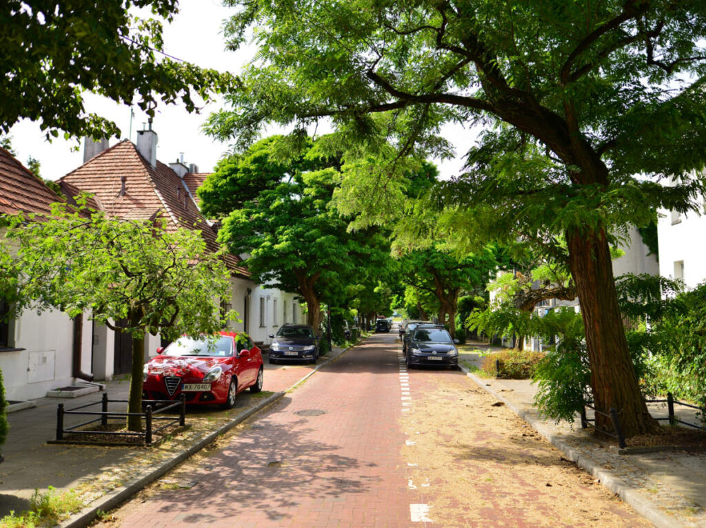 A street lined with trees in Żoliborz