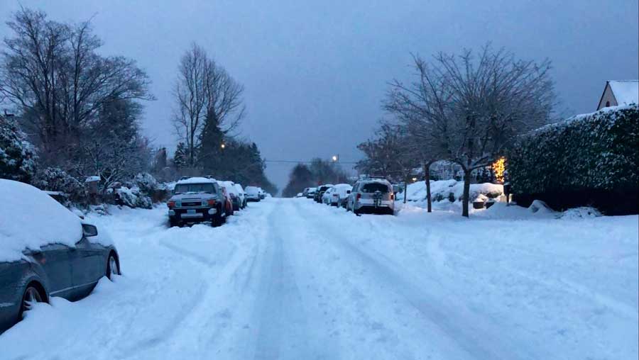 Cars covered with snow on the street during winter season