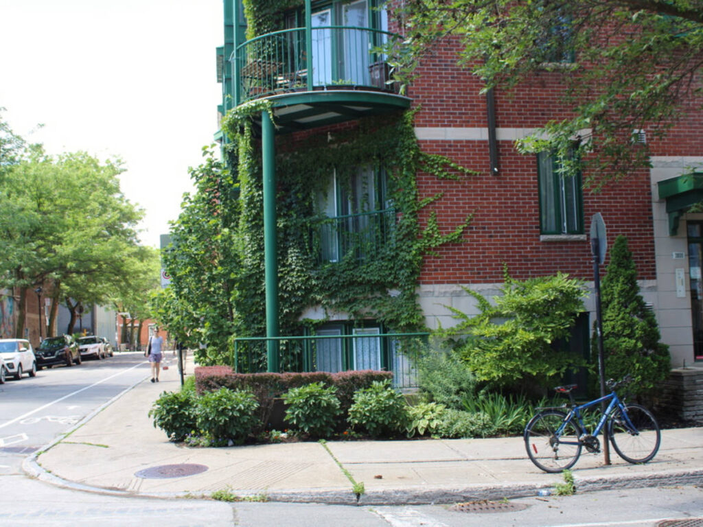 A building covered with vines on the Streets of Plateau