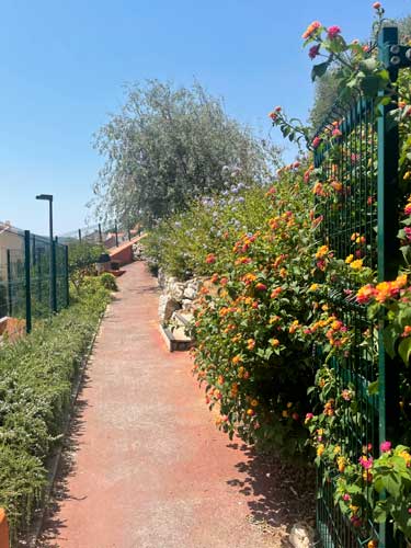 Colorful flowers on a street in Setubal