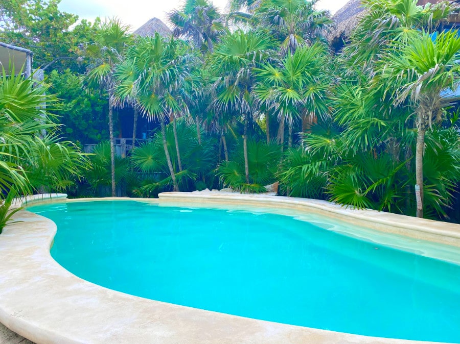 View of a pool surrounded by trees in Suenos Tulum Hotel