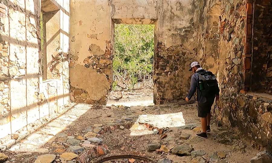 The author exploring the ruins of sugar mill along the Reef Bay Trail