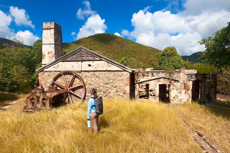 The author's wife admiring the Sugar Mill Ruins