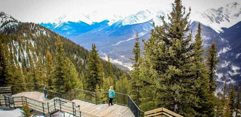 The author Taylor admiring the view at Sulphur Mountain hiking trail