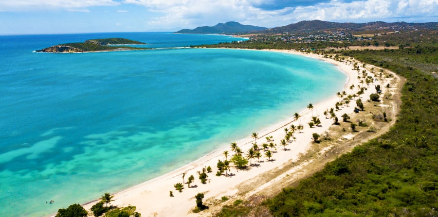 Aerial view of the lush green trees and turquoise ocean water around Sun Bay Beach