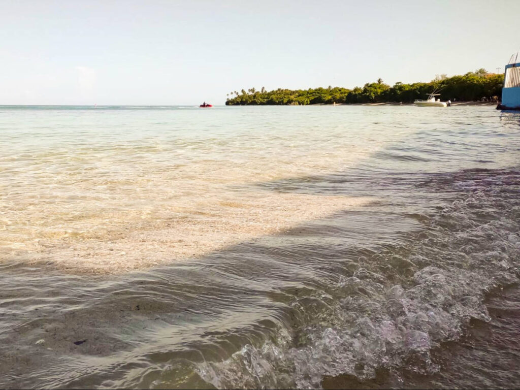 View of the green landscape from the shoreline of Buyé Beach on a sunny day