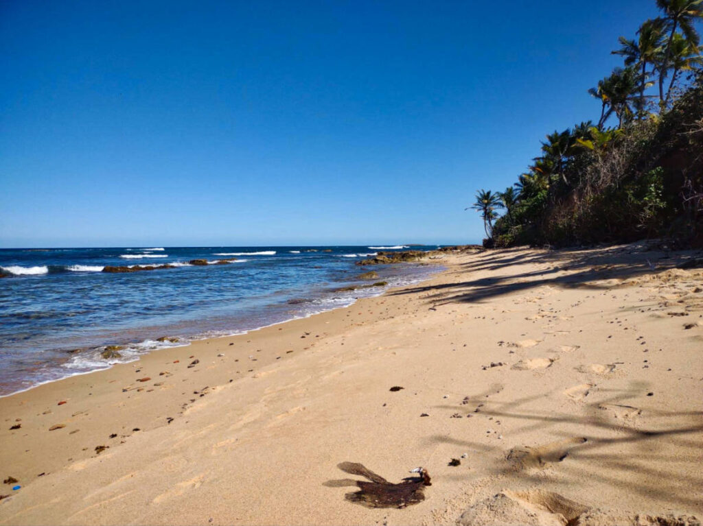 View of the vast white sand beach of Playa Peña