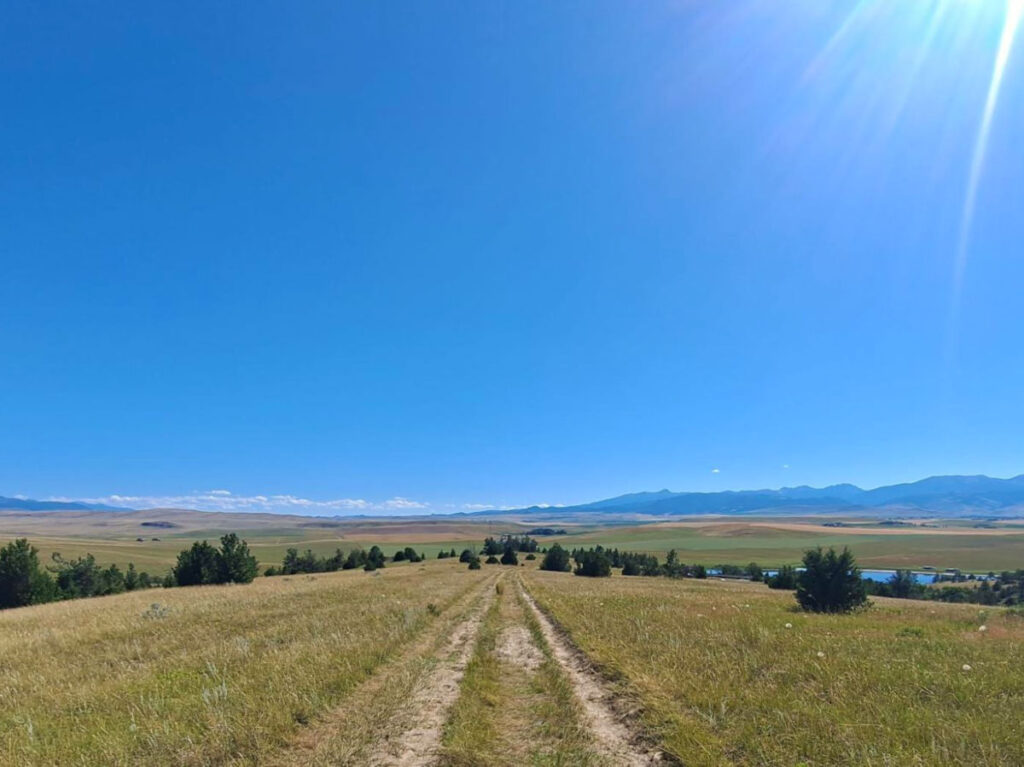 A dirt road winding through a grassy field in Montana