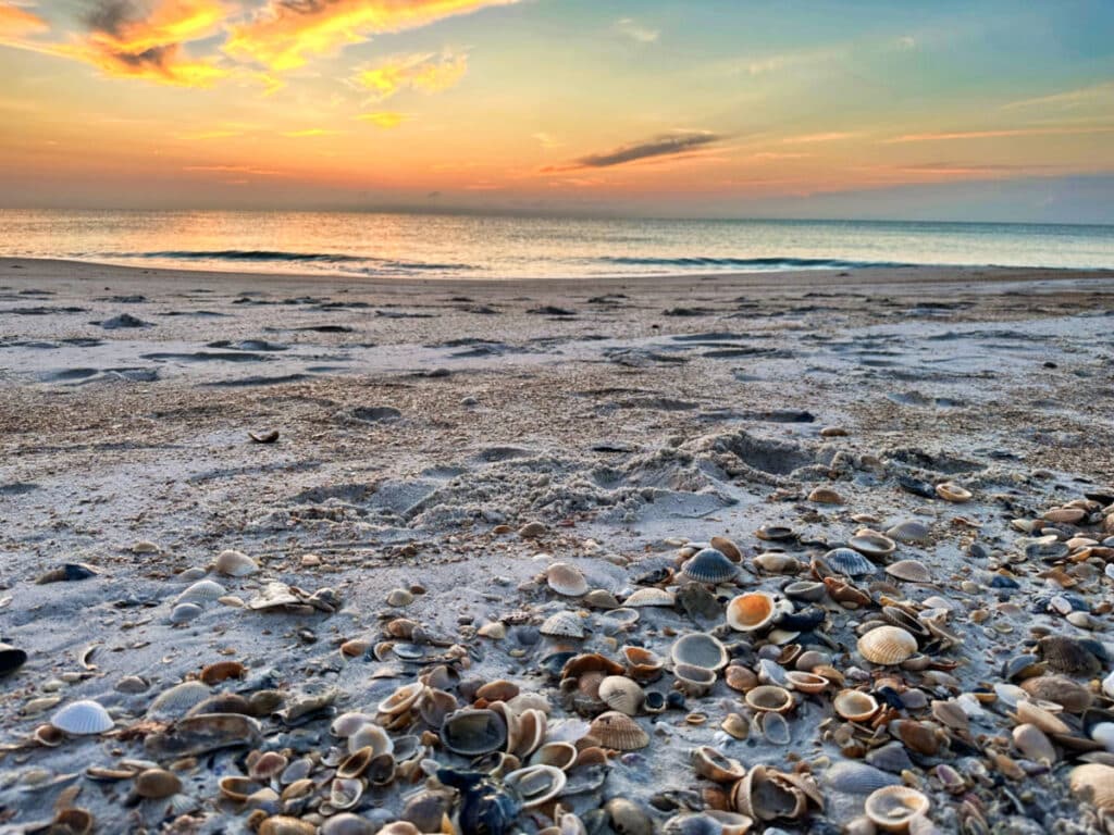Scenic view of the sunrise over Ponte Vedra Beach with seashells on the sand