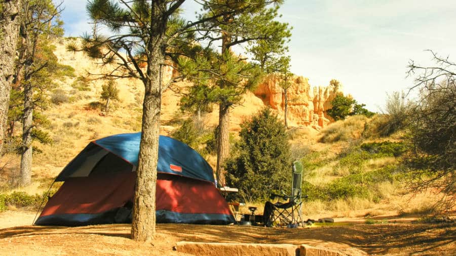 View of a lone camping tent in the shade at the Sunset Campground