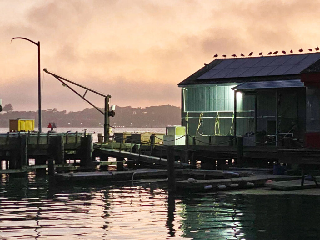 View of the sunset over a dock in Bodega Bay