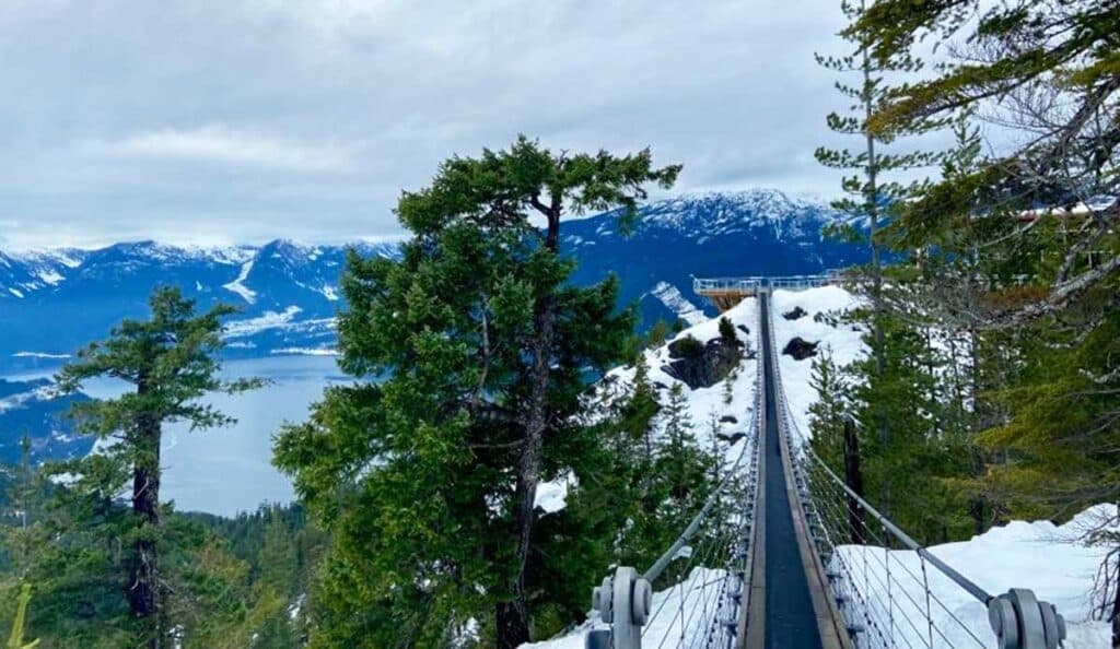 A suspension bridge with a mountain view