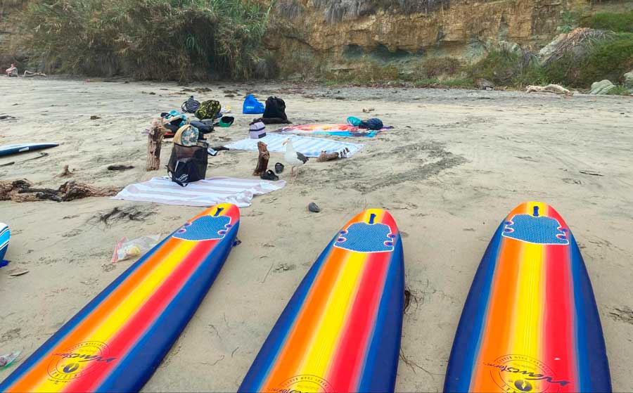 Colorful surfboards on the sand of Swami’s Beach