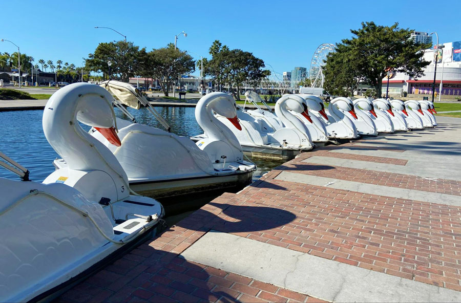 Swan Pedal Boats Rentals parked in Rainbow Lagoon Park