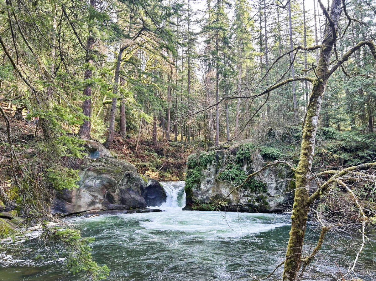 View at the Whatcom Falls Park