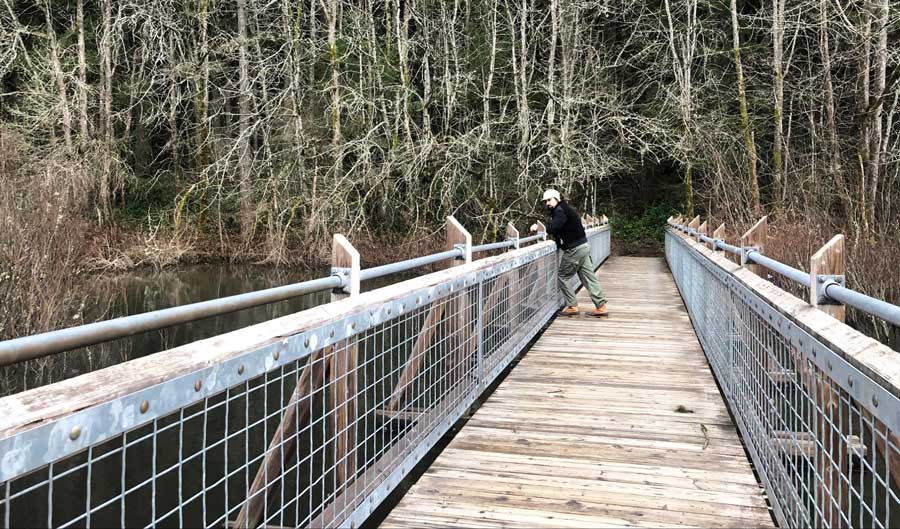 View of a man in Tacoma Nature Center