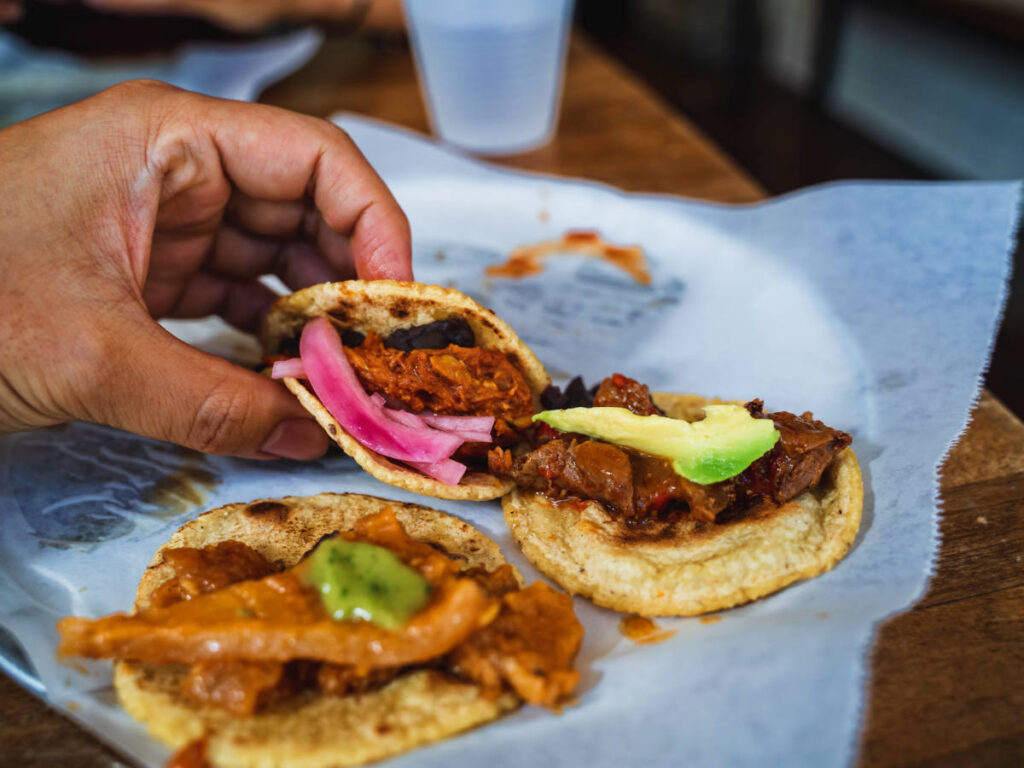 Variety of tacos on a plate