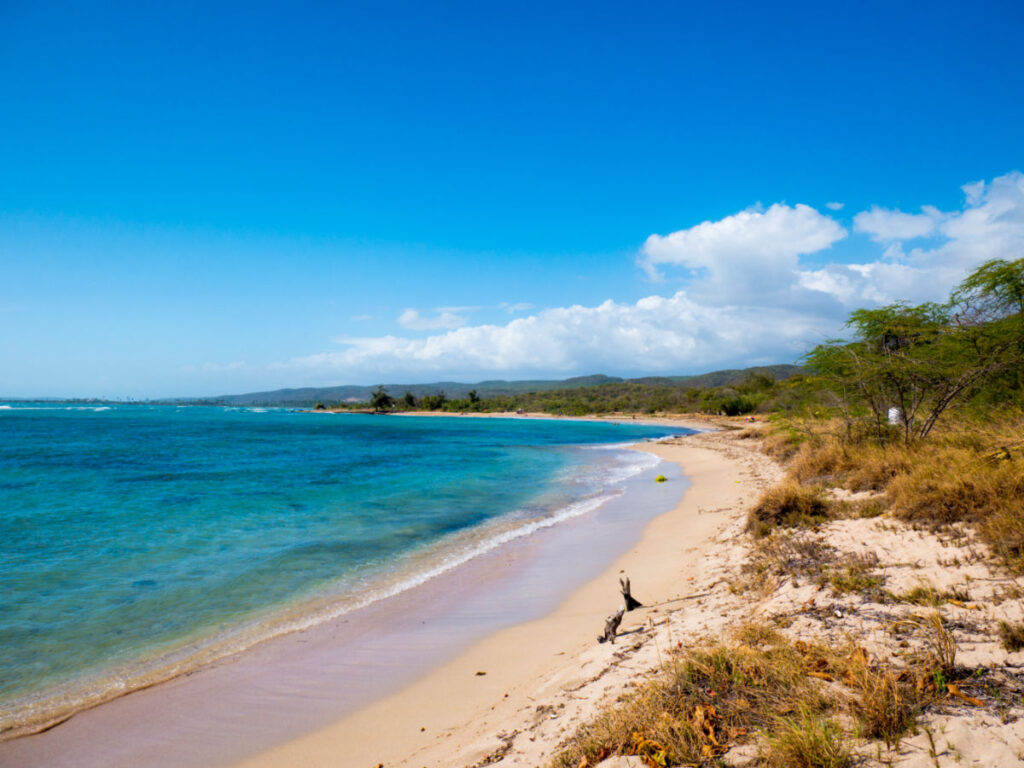 Beautiful sandy shoreline at Tamarindo Beach