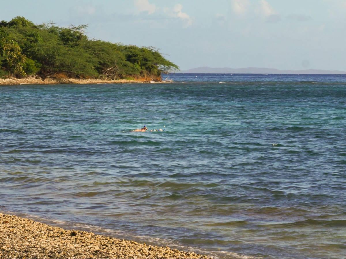 Kids enjoying snorkeling in Tamarindo Grande Beach