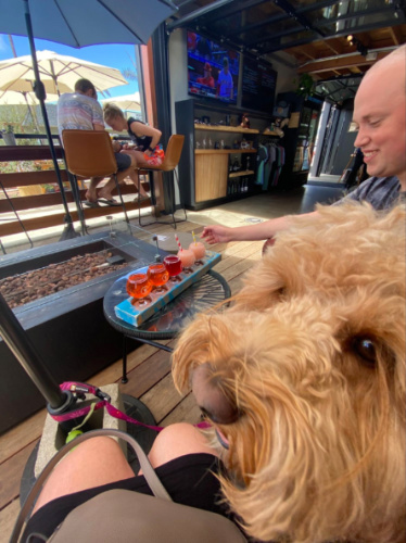 Author Jess with her dog and friends enjoying a tasting flight at Pure Project