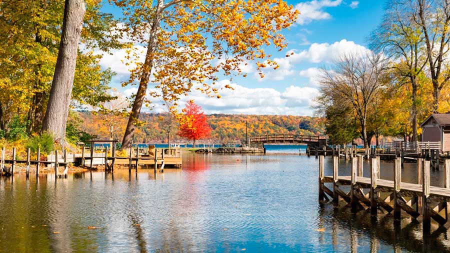 View of a park during autumn in Finger Lakes Region