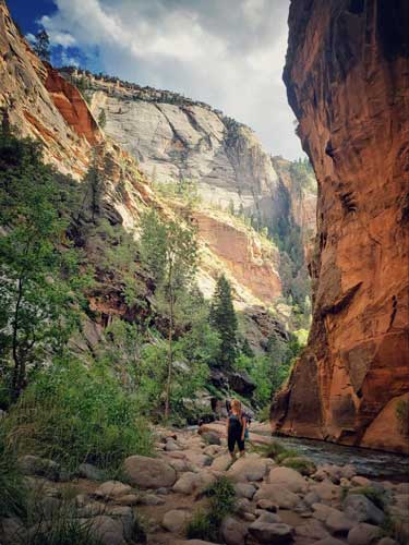 Taylor Herperger admiring the view in Zion National Park, Utah