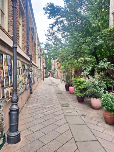 A narrow street surrounded by greenery and buildings in Tbilisi