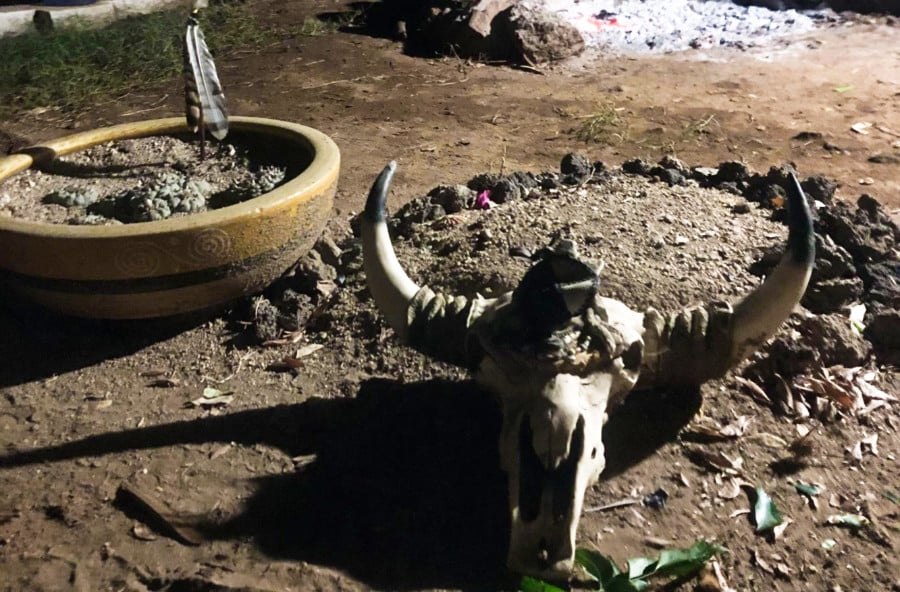 A closeup look at the animal skeletal horn at the Temazcal Ceremony