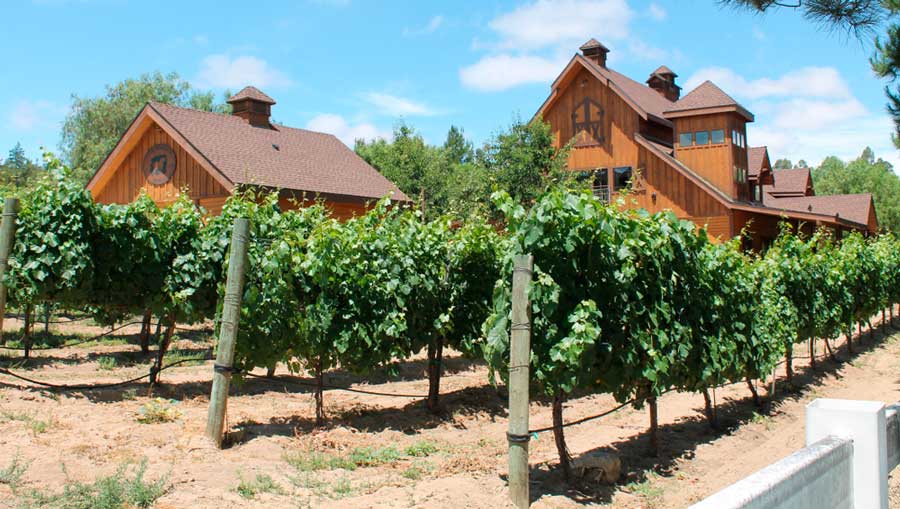 View from the Temecula Vineyards under the clear blue sky