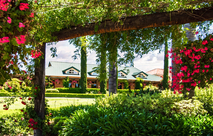 View of the landscape garden at Wine Tasting Room in Temecula