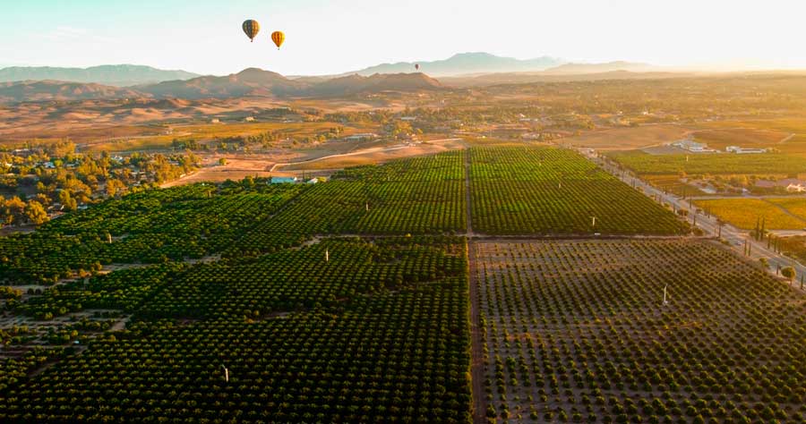 Colorful hot air balloons over Temecula