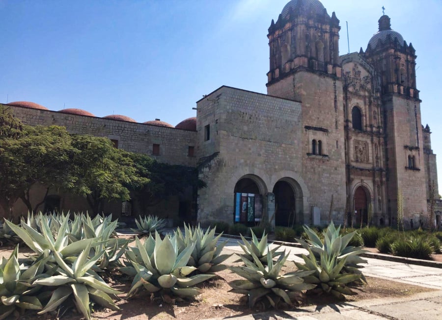 Façade of the historic church of Templo de Santo Domingo with cacti around