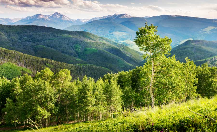 Scenic view from the Ten Mile Canyon National Recreation Trail