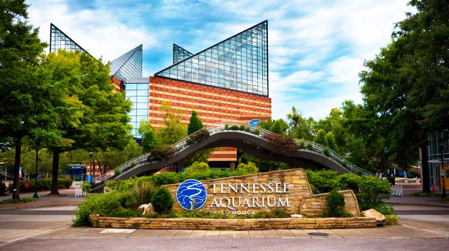 The Tennessee Aquarium from the outside