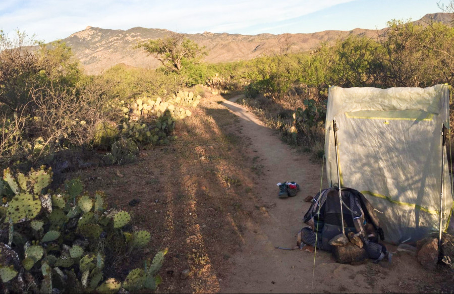 A camping tent on the trail in Saguaro National Park at sunset