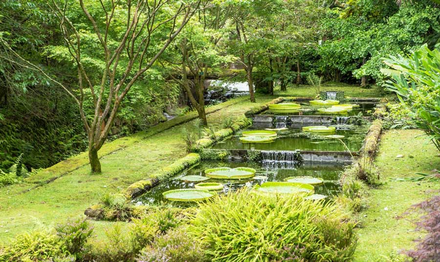 View of a pond at the Terra Nostra Gardens