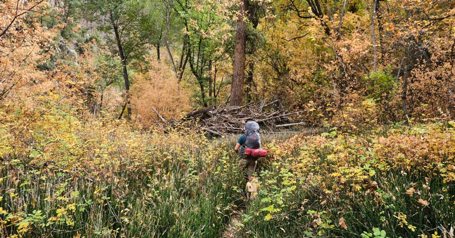A backpacker in Pecos Canyon State Park during autumn season