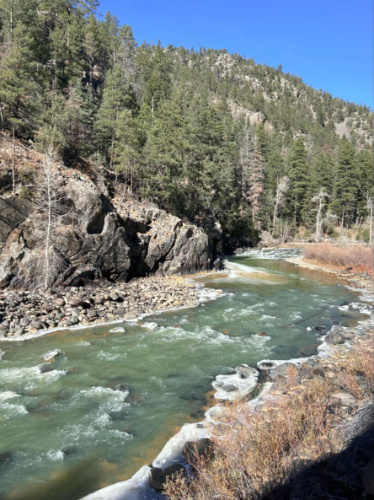 Overlooking view of the Animas River surrounded by lush greenery