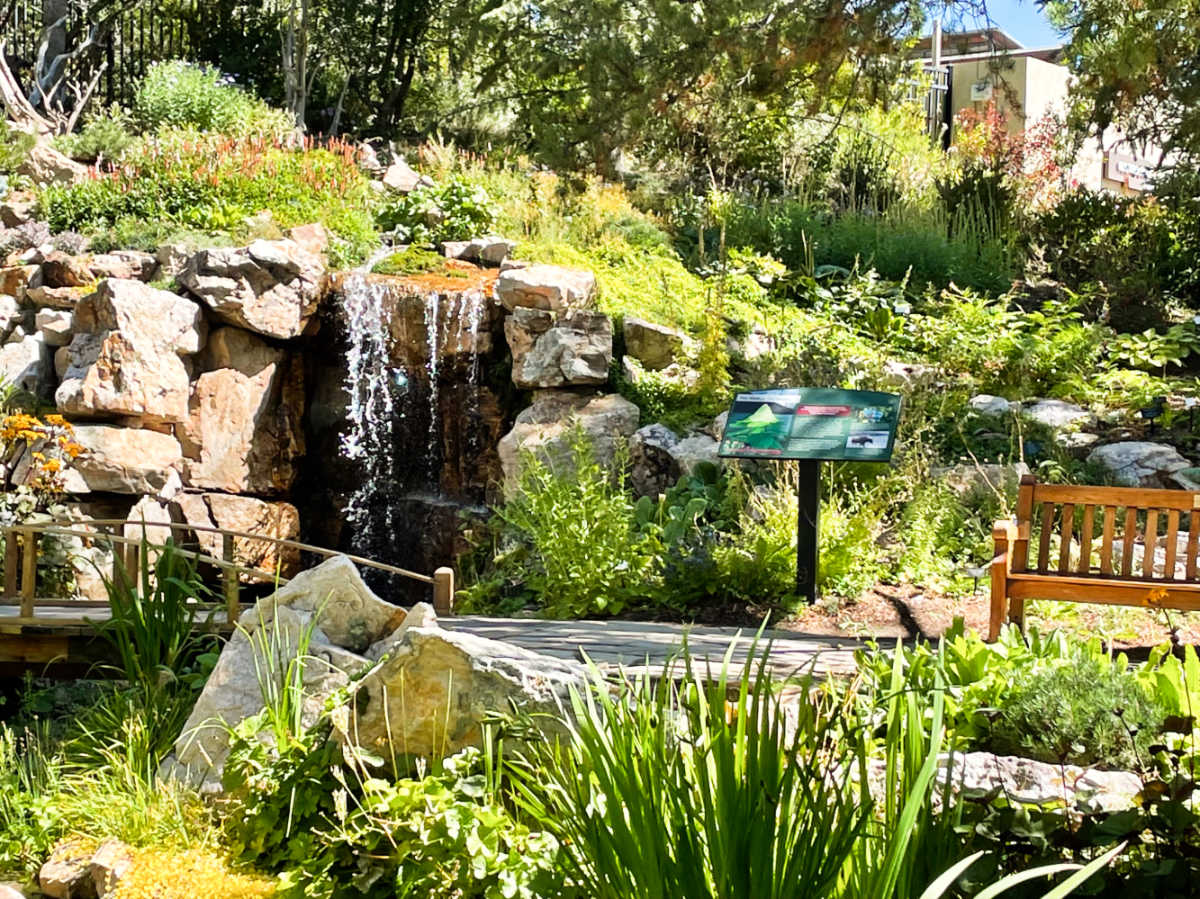 A mini waterfalls at The Betty Ford Alpine Garden