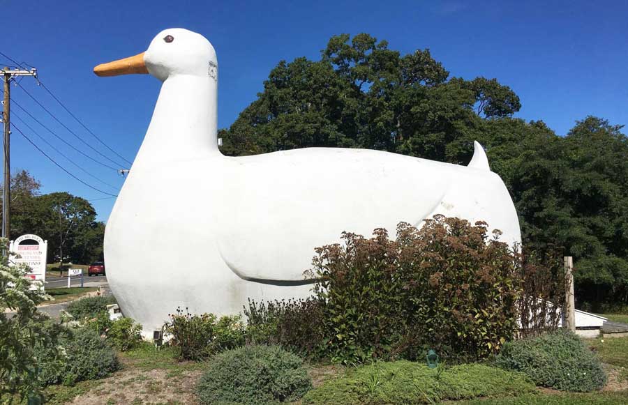 View of the Big Duck statue in Long Island