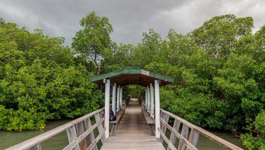 A beach boardwalk in The Boqueron Wildlife Refuge