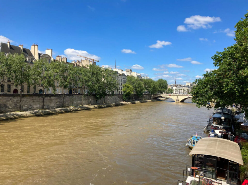 View of the Brown colored Seine River