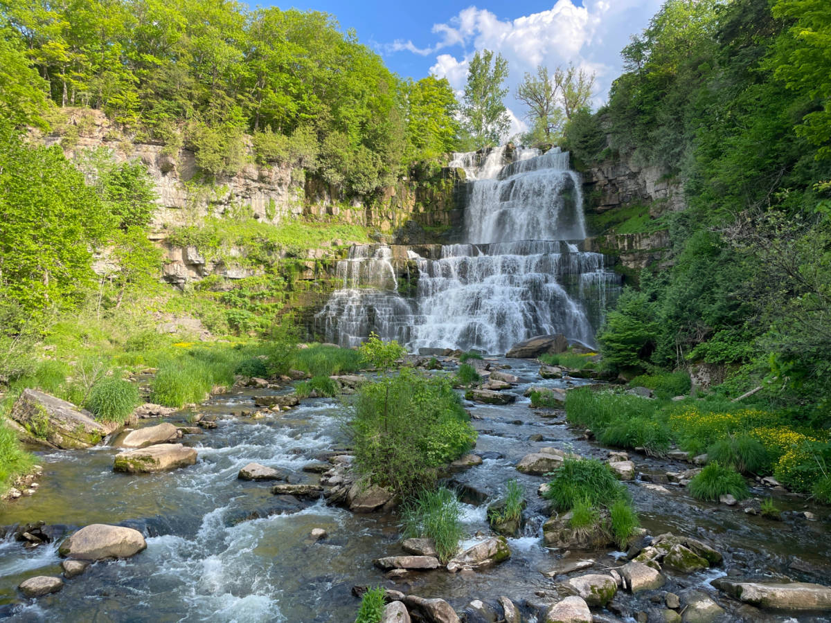 Chittenango Falls in early summer