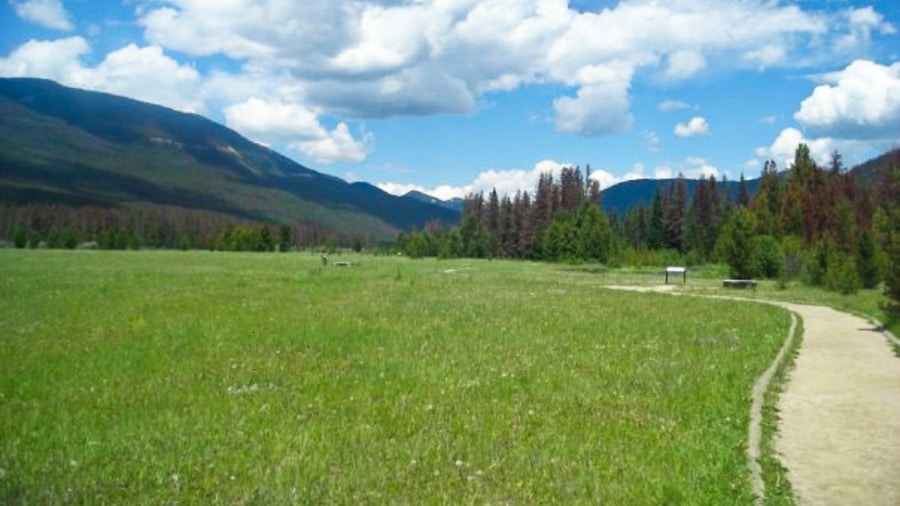 View of the lush green wide landscape surrounding of the Coyote Valley Trail