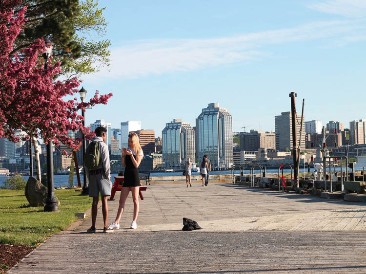 Couple standing near waterfront with modern buildings on background