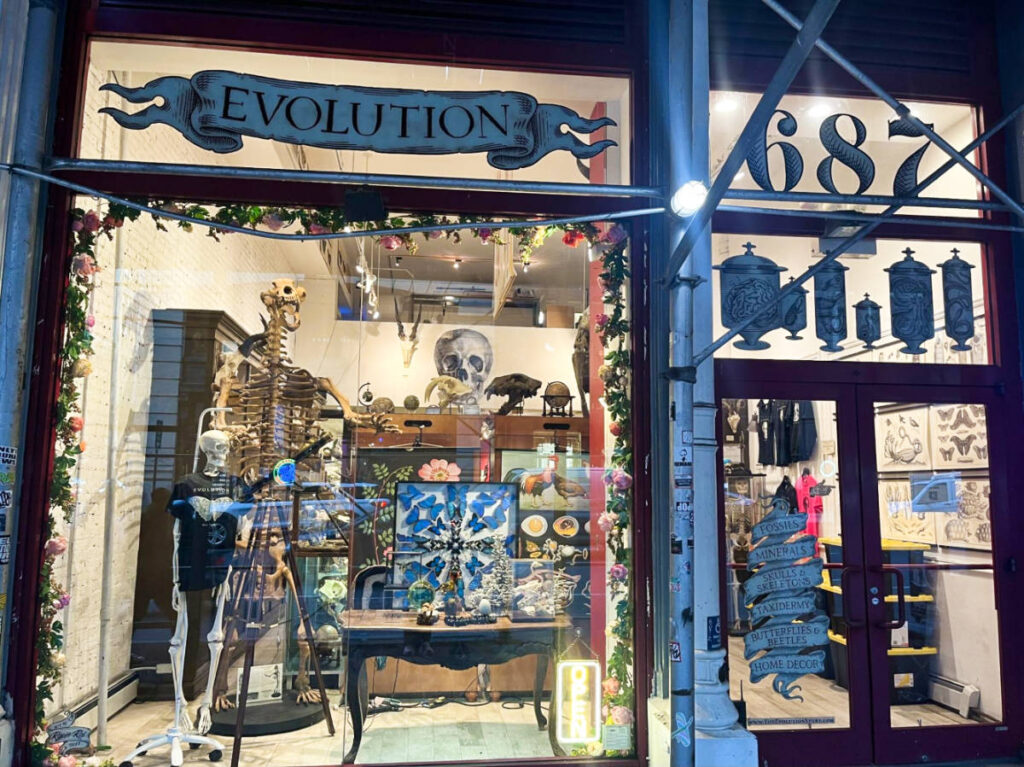 View of the displays from the glass window of The Evolution Store