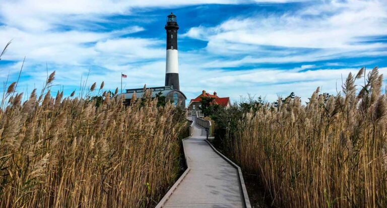 View of a pathway surrounded by wheat leading to The Fire Island Lighthouse
